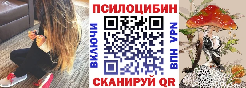 Псилоцибиновые грибы прущие грибы  Купить  Смоленск 